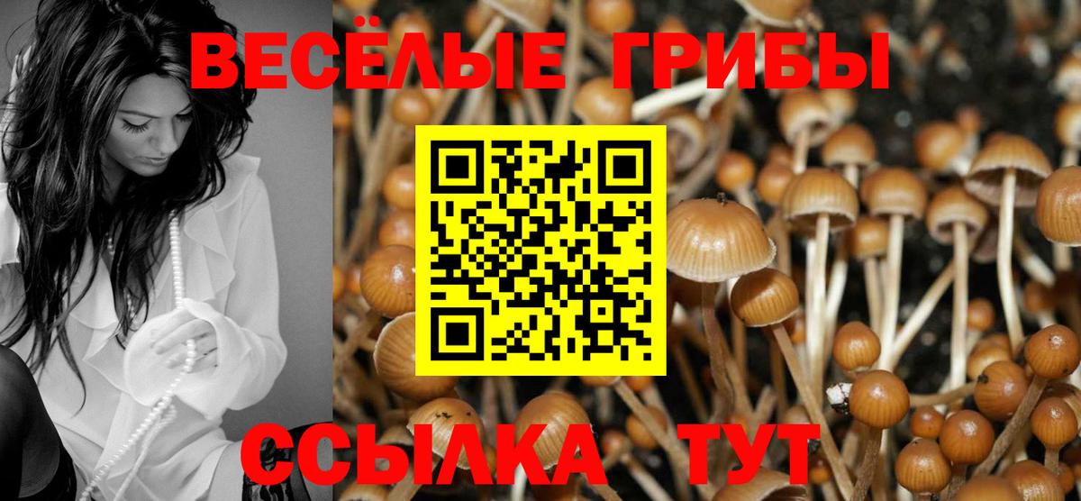 Саяногорск  Галлюциногенные грибы прущие грибы  Вход с VPN 
